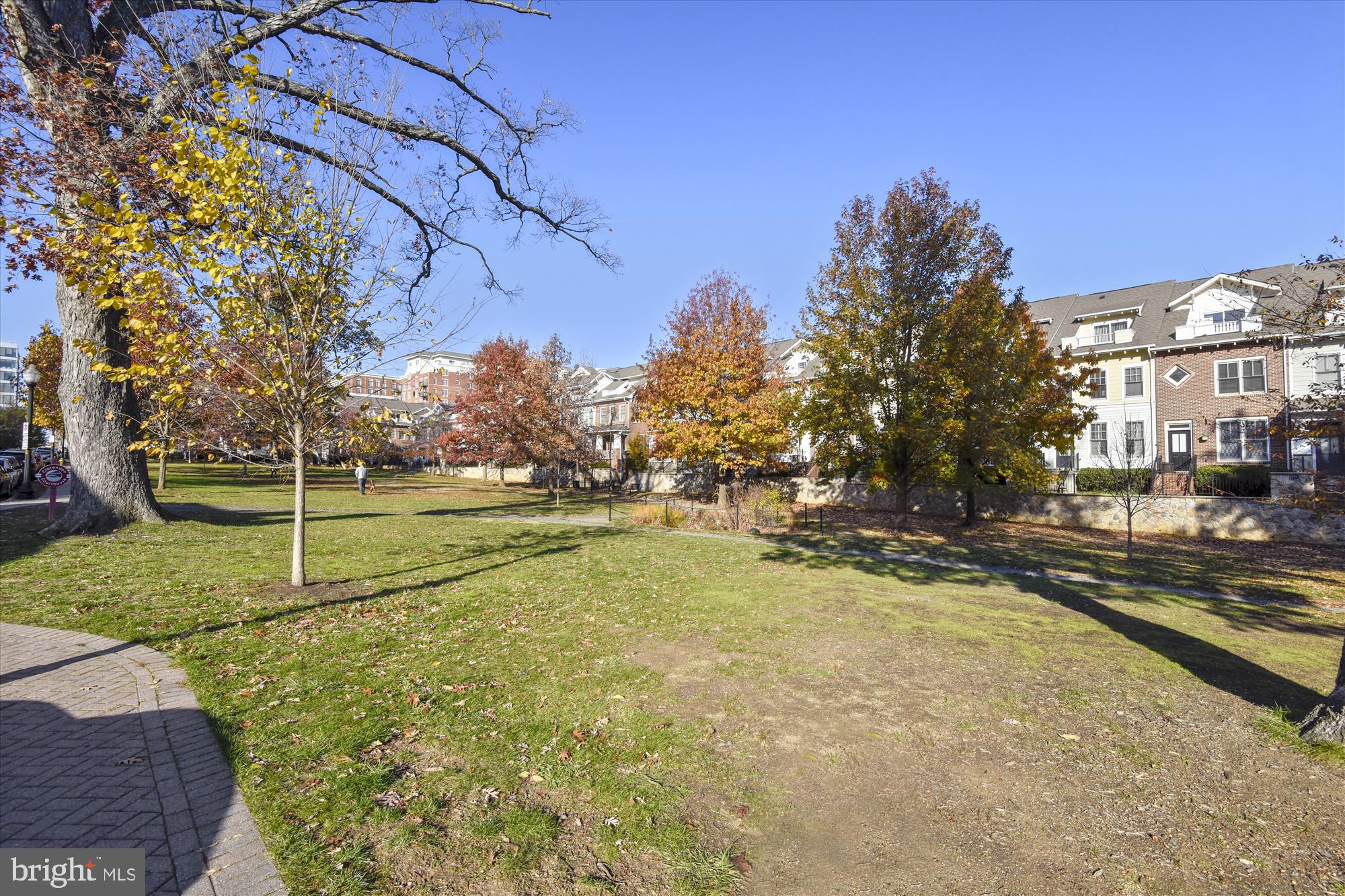 4528 North Dittmar Road Arlington, VA 22207 - Photo 20 of 20 Clarendon dog park