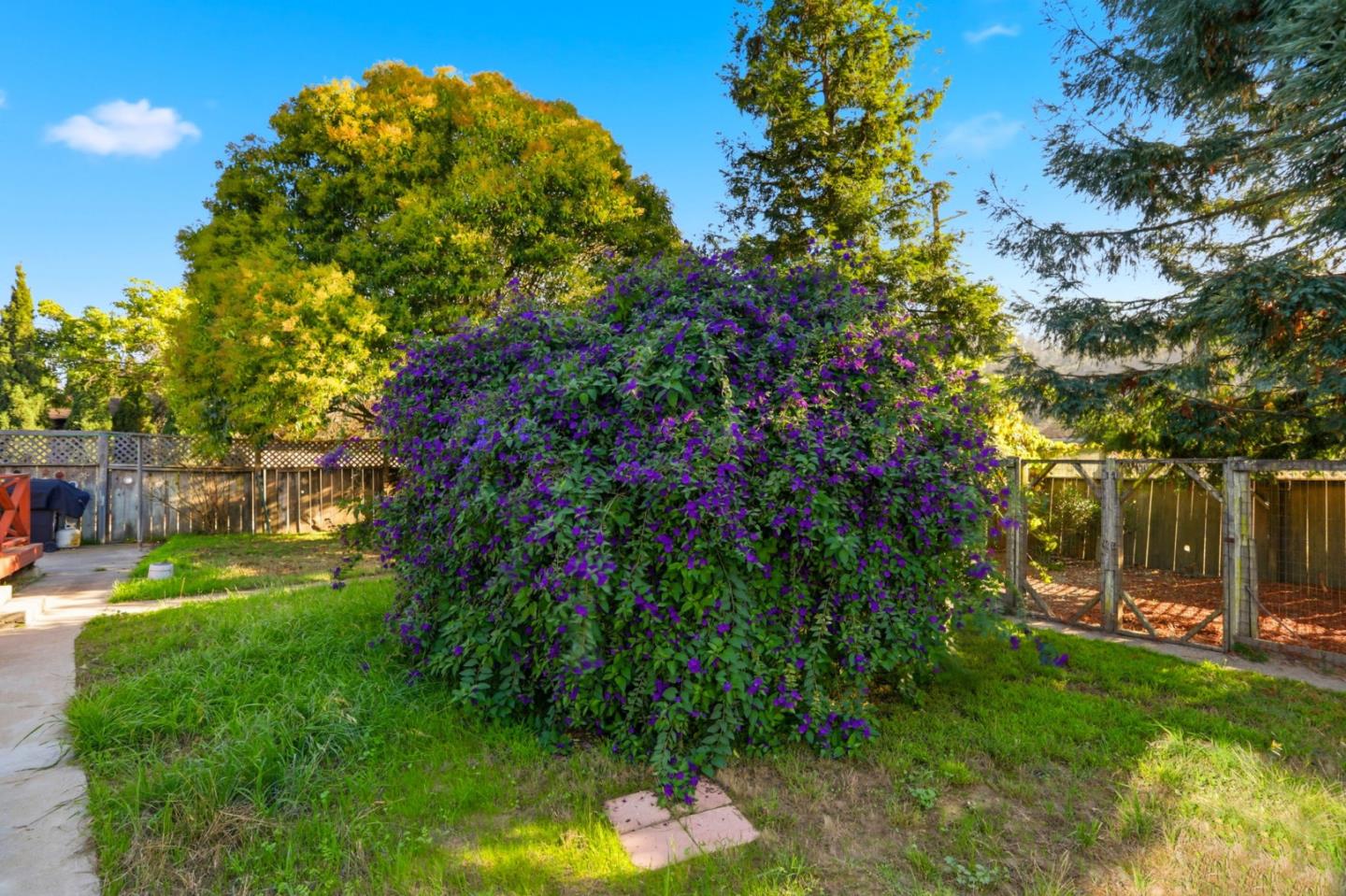 2594 San Juan Road Aromas, CA 95004 - Photo 31 of 34 a backyard of a house with lots of green space