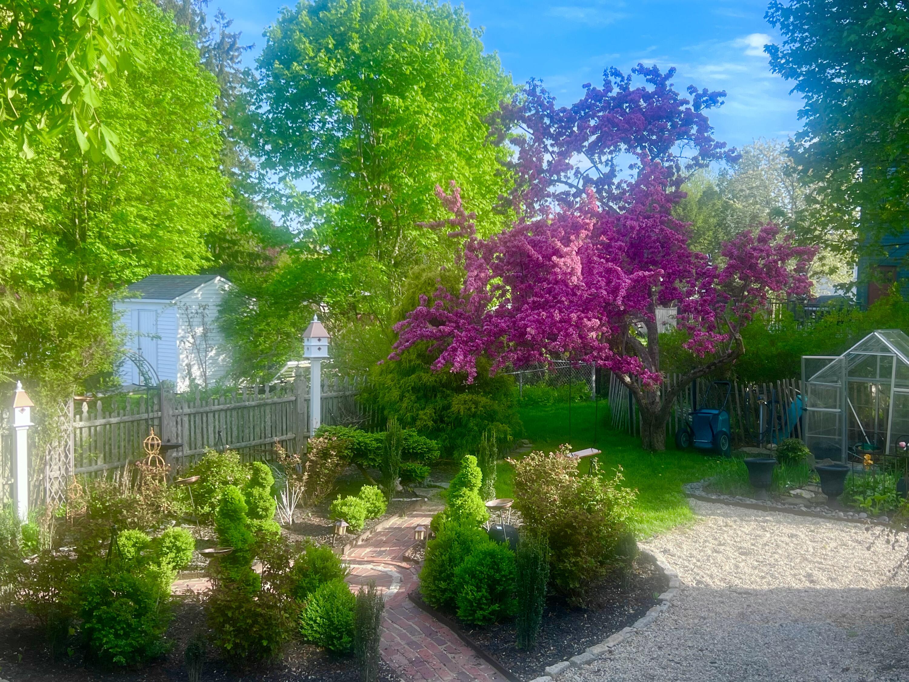 45 Mitchell Road South Portland, ME 04106 - Photo 80 of 86 Summer shot purple K