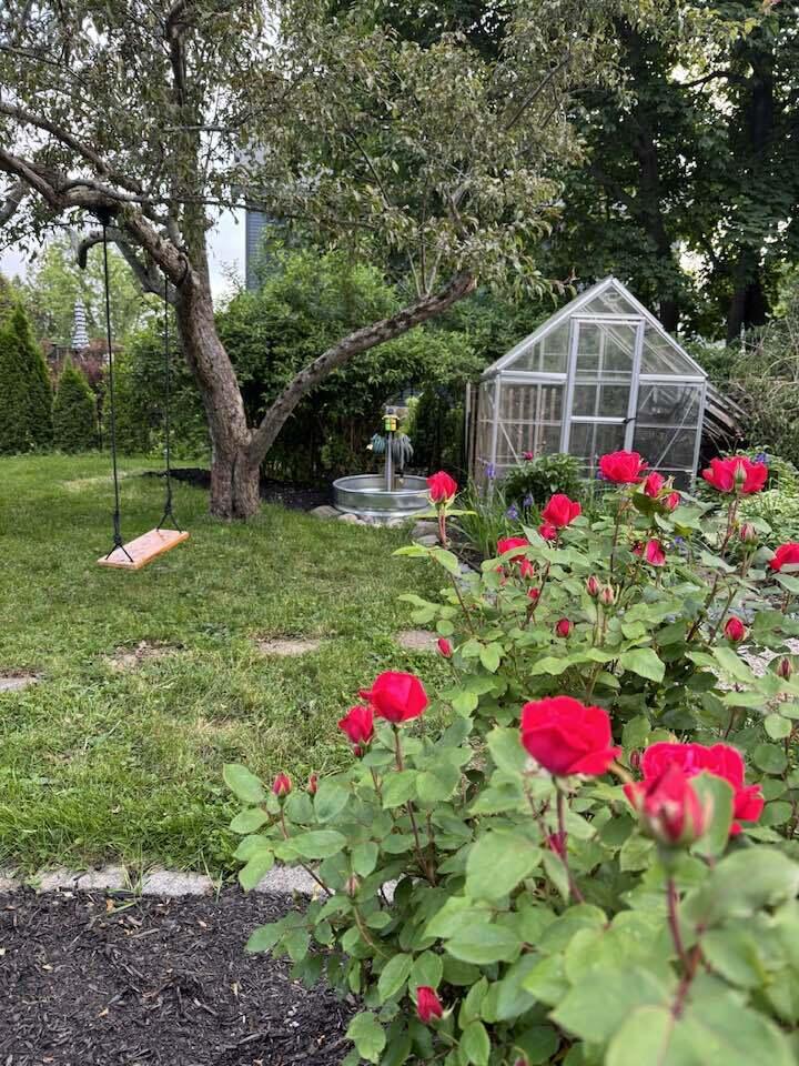 45 Mitchell Road South Portland, ME 04106 - Photo 82 of 86 Summer shot flowering tree swing