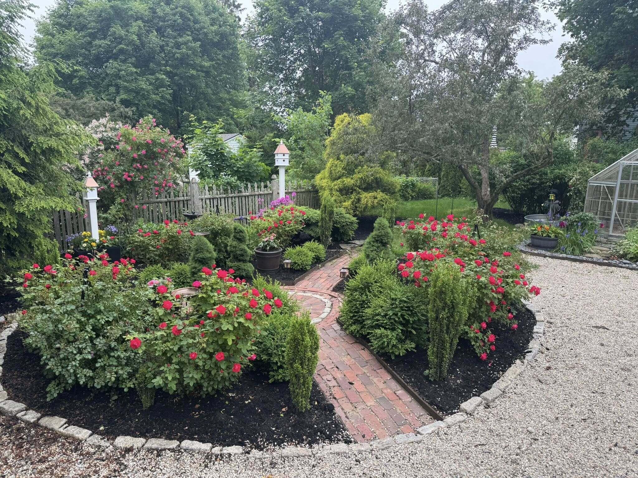 45 Mitchell Road South Portland, ME 04106 - Photo 83 of 86 Summer shot rose garden