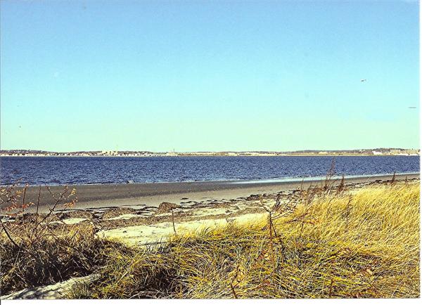 39 Castle Road Nahant, MA 01908 - Photo 16 of 18