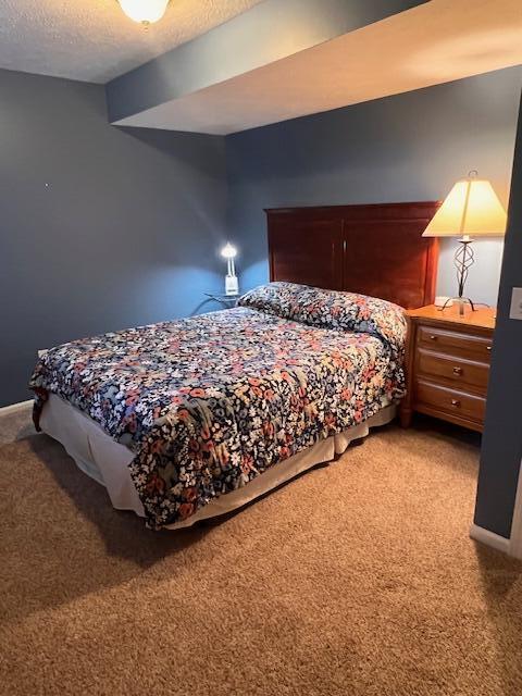 2138 Rozell Drive Middleville, MI 49333 - Photo 33 of 49 IMG_7173