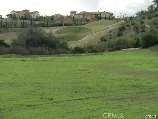 a view of a field with an ocean