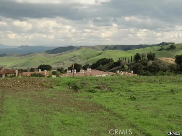 a view of a house with a yard and potted plants
