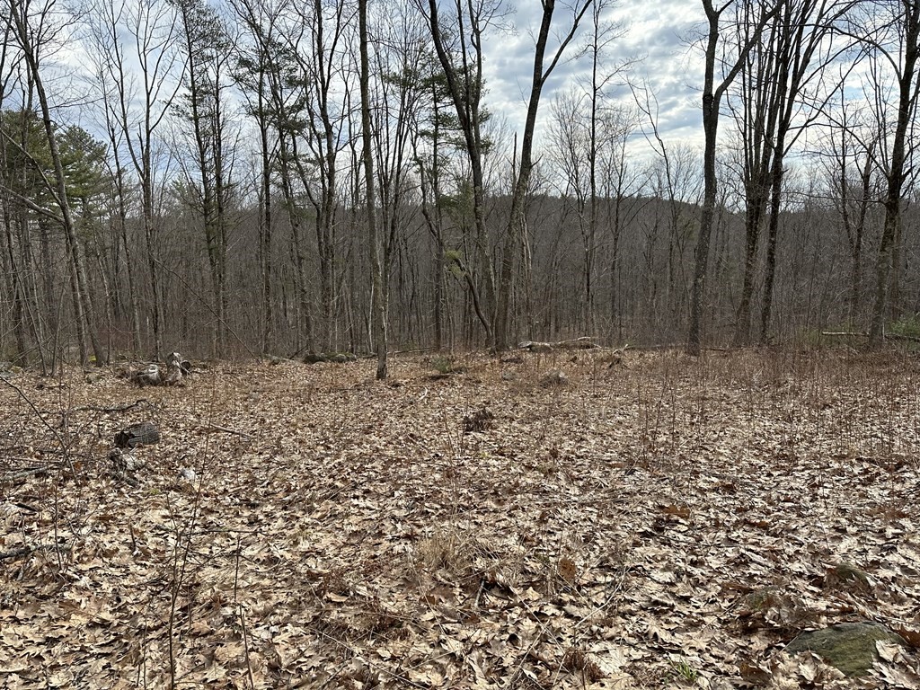 Lot 10 Sheldon Road Barre, MA 01005 - Photo 2 of 6 Gallery Image 2