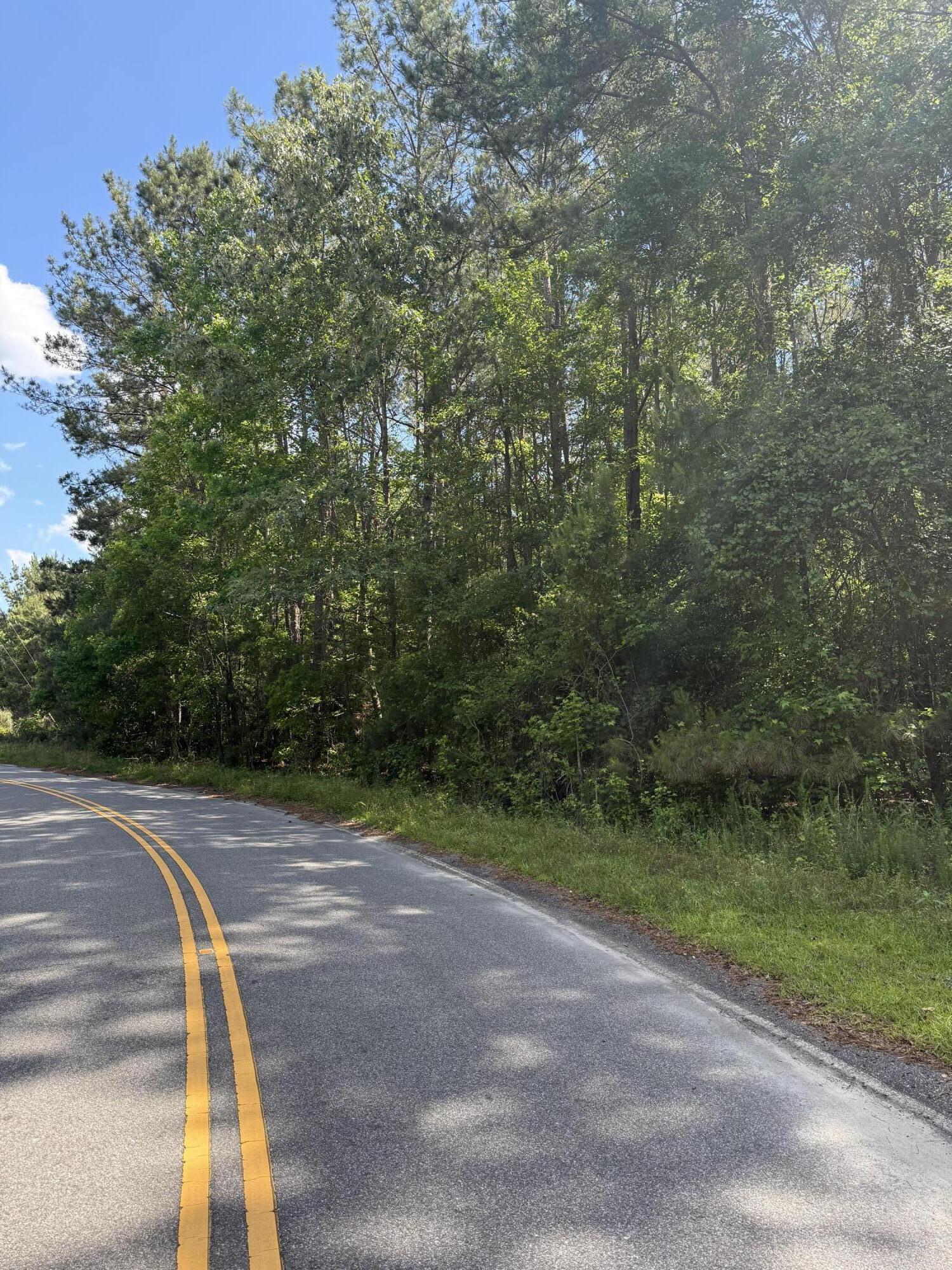 1 Clarks Hill Drive St. George, SC 29477 - Photo 3 of 3 IMG_0581