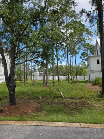 a view of a garden with trees
