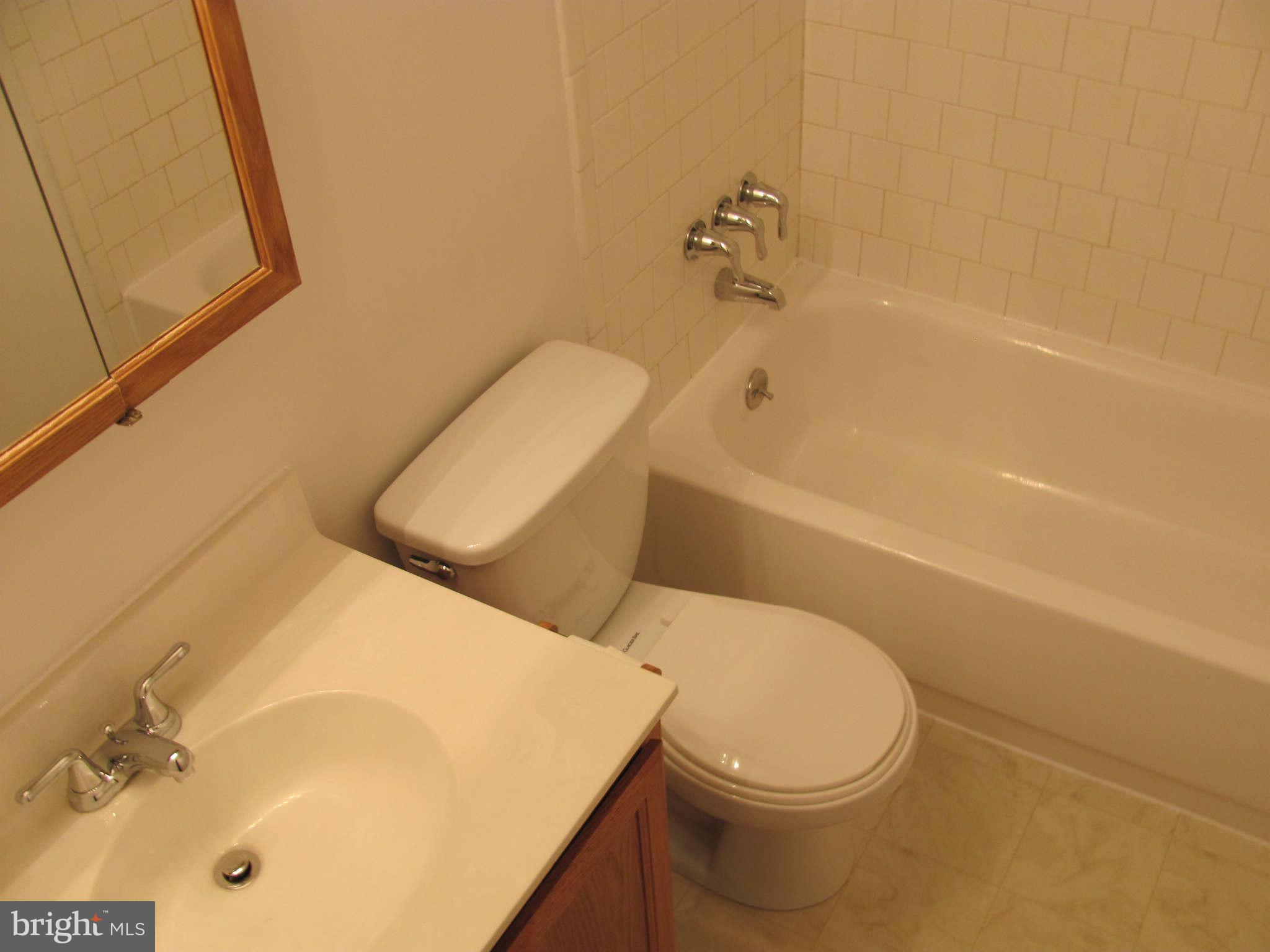 171 Dunlap Road Pasadena, MD 21122 - Photo 19 of 24 Bath (Master)
