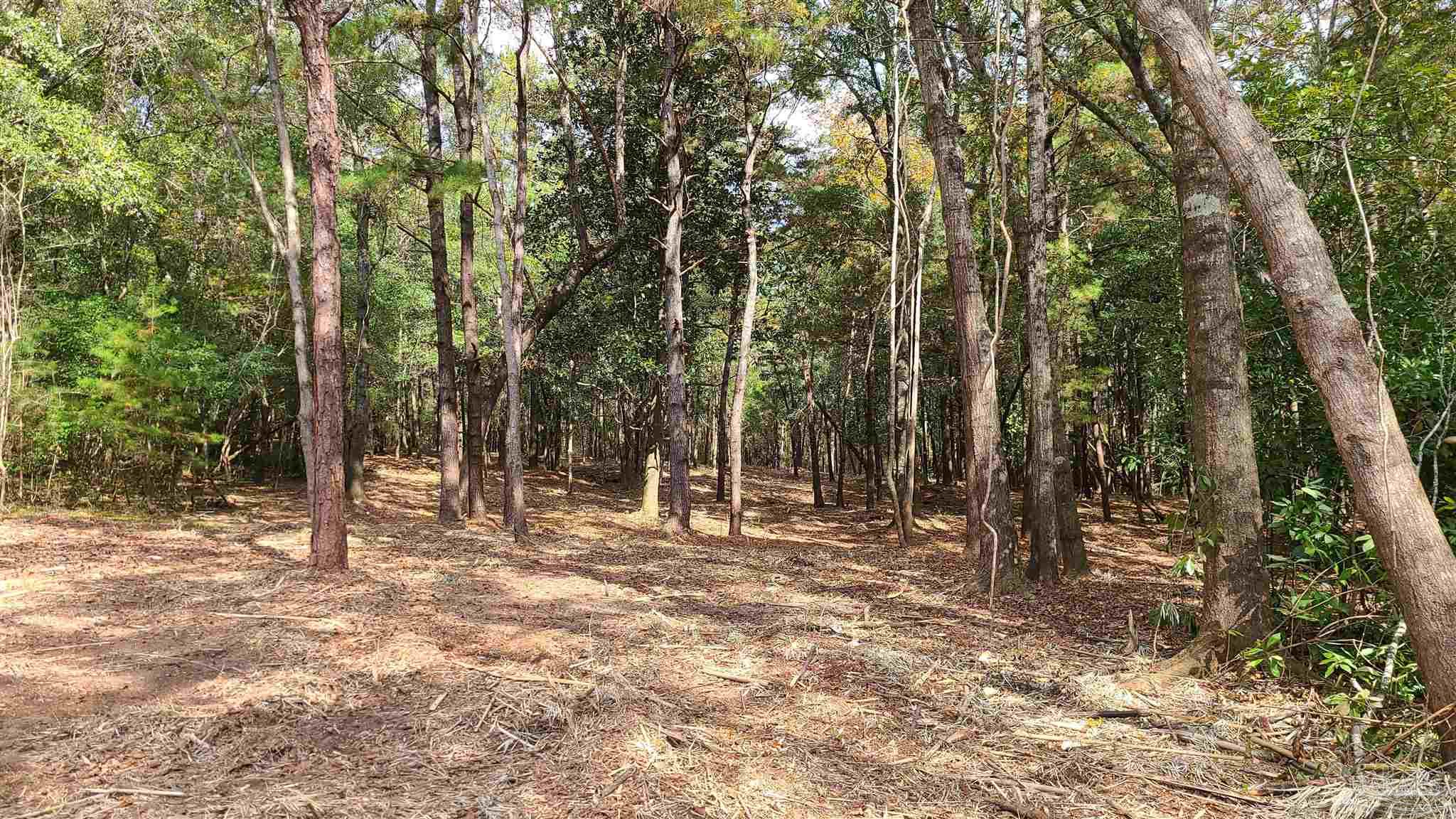 5900 Deer Lake Road McDavid, FL 32568 - Photo 2 of 16 Gallery Image 2