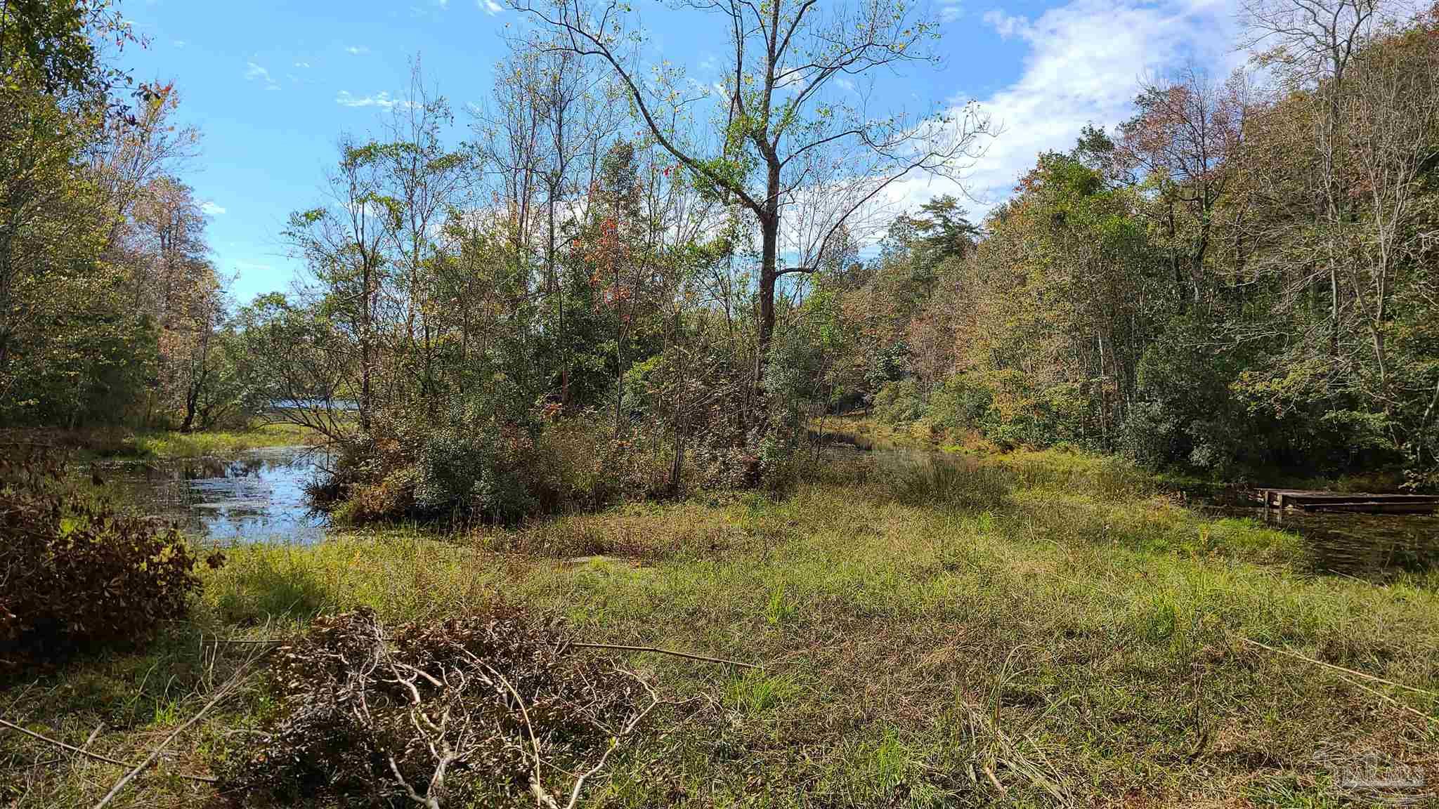 5900 Deer Lake Road McDavid, FL 32568 - Photo 7 of 16 Gallery Image 7