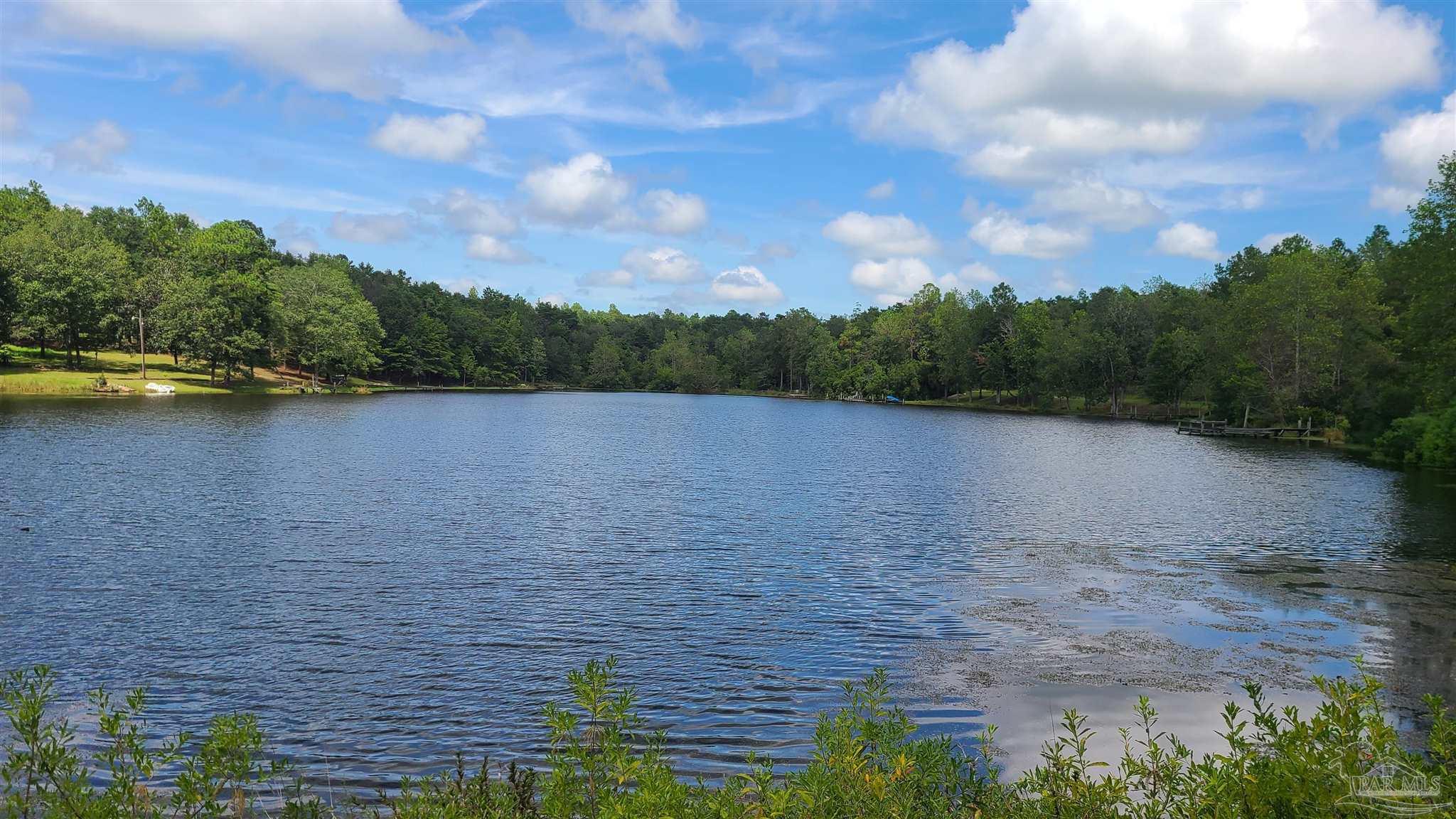 5900 Deer Lake Road McDavid, FL 32568 - Photo 10 of 16 Gallery Image 10