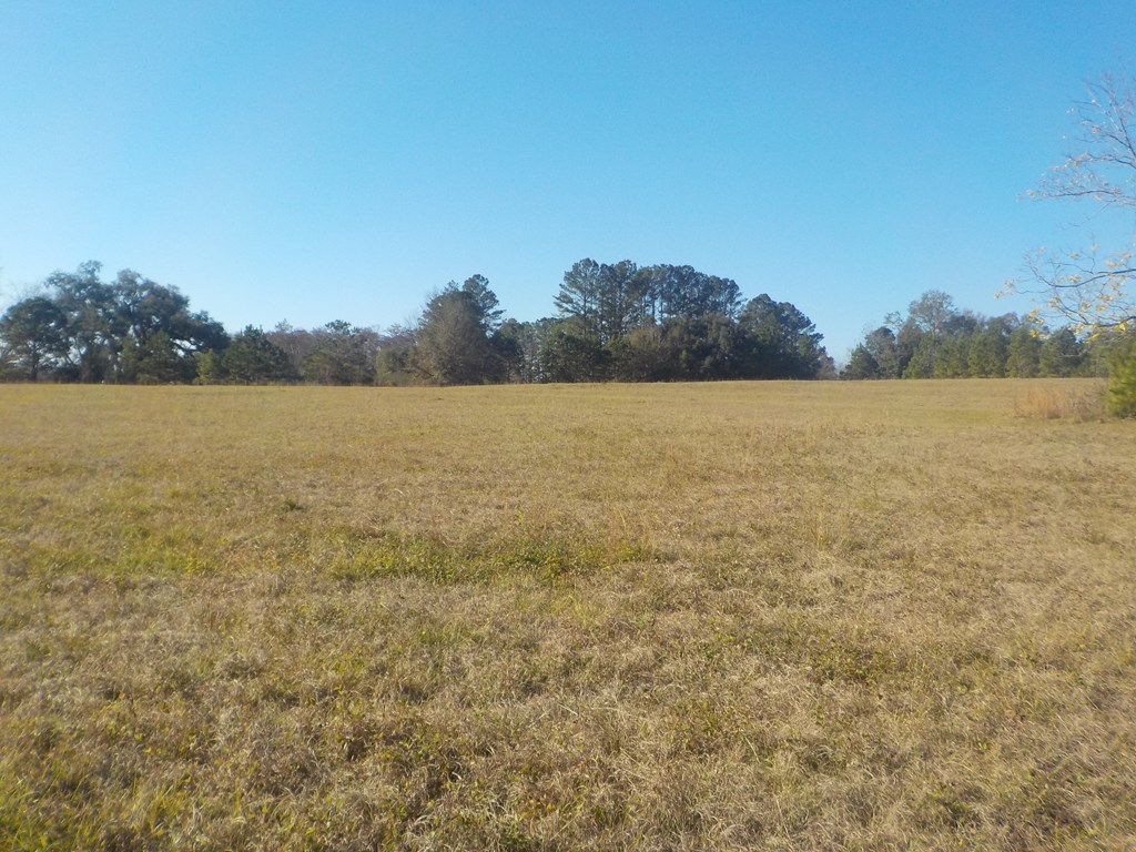 6904 South Cty Road Cottonwood, AL 36320 - Photo 18 of 23