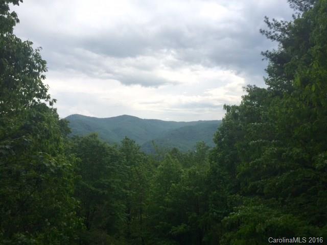 210 Trail Ridge Road Tuckasegee, NC 28783 - Photo 3 of 23 Gallery Image 3