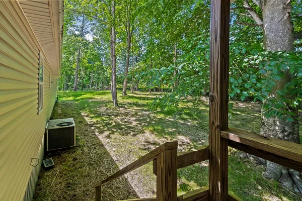 a view of a garden from a window