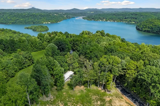 a view of a lake with a city view