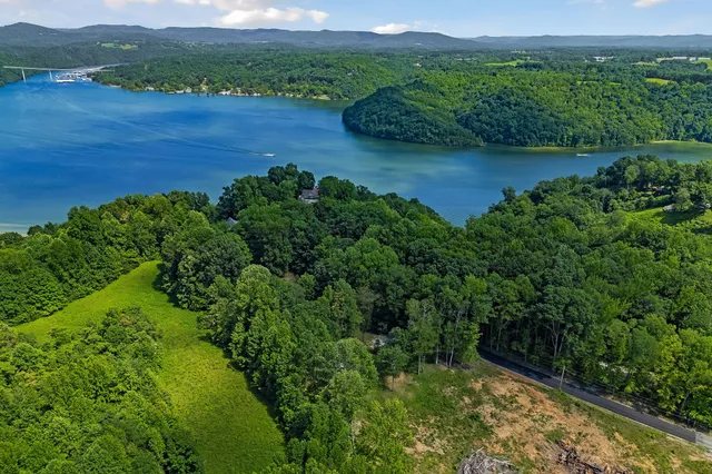 an aerial view of green landscape with trees houses and lake view