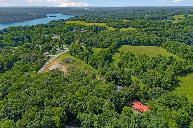 an aerial view of a houses with a lush green hillside