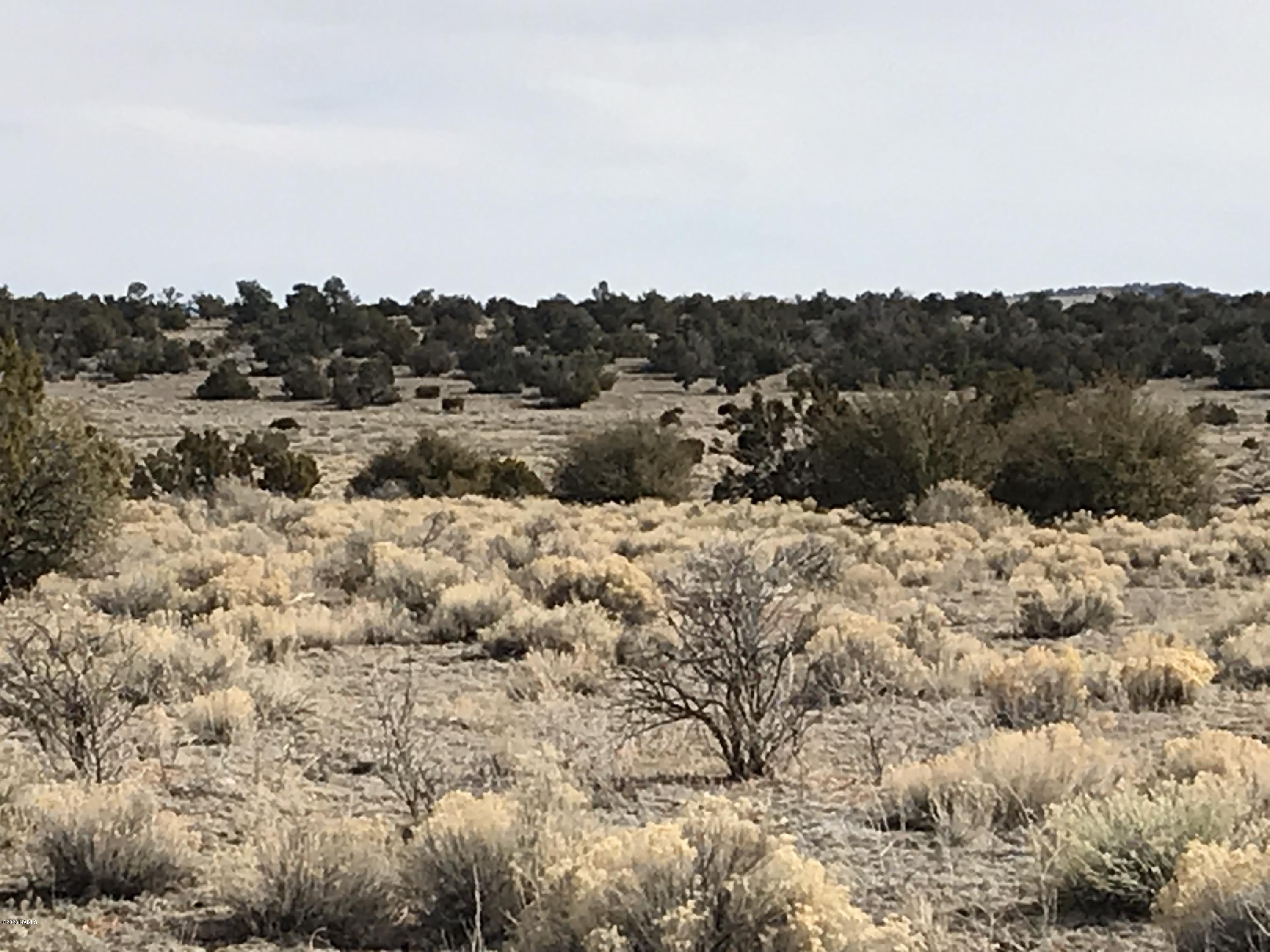 5597 South Cattle Tank Road Williams, AZ 86046 - Photo 11 of 14 3B17AAFA-60F6-4FA9-B2B4-1DC8A3EDF468