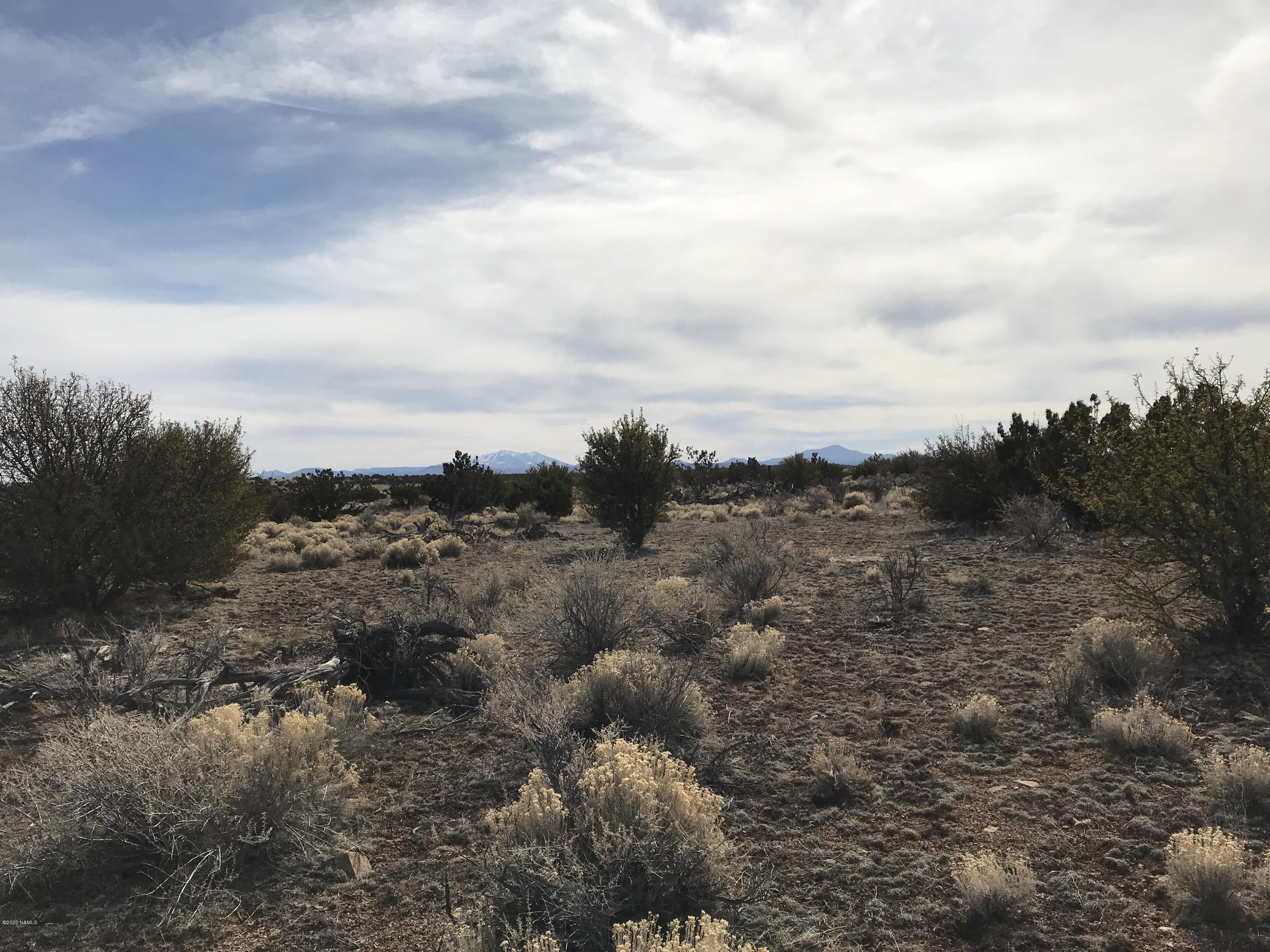 5597 South Cattle Tank Road Williams, AZ 86046 - Photo 12 of 14 A296F315-BB8D-4E4C-8315-65B66B676E7F