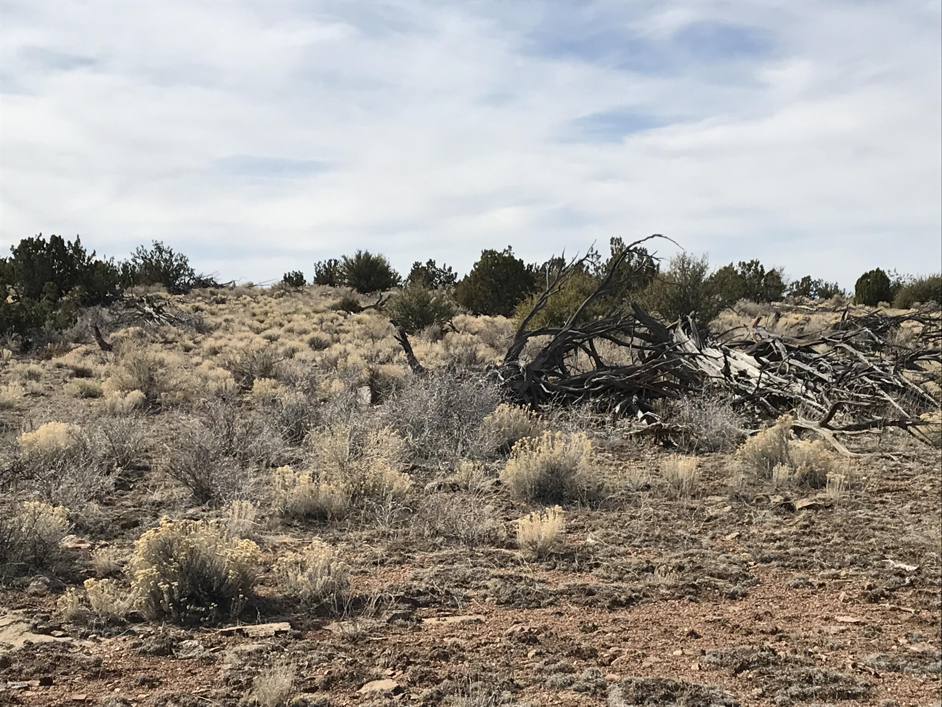 5597 South Cattle Tank Road Williams, AZ 86046 - Photo 13 of 14 82F45F96-82BD-46A9-8CFE-A7F44F965D42