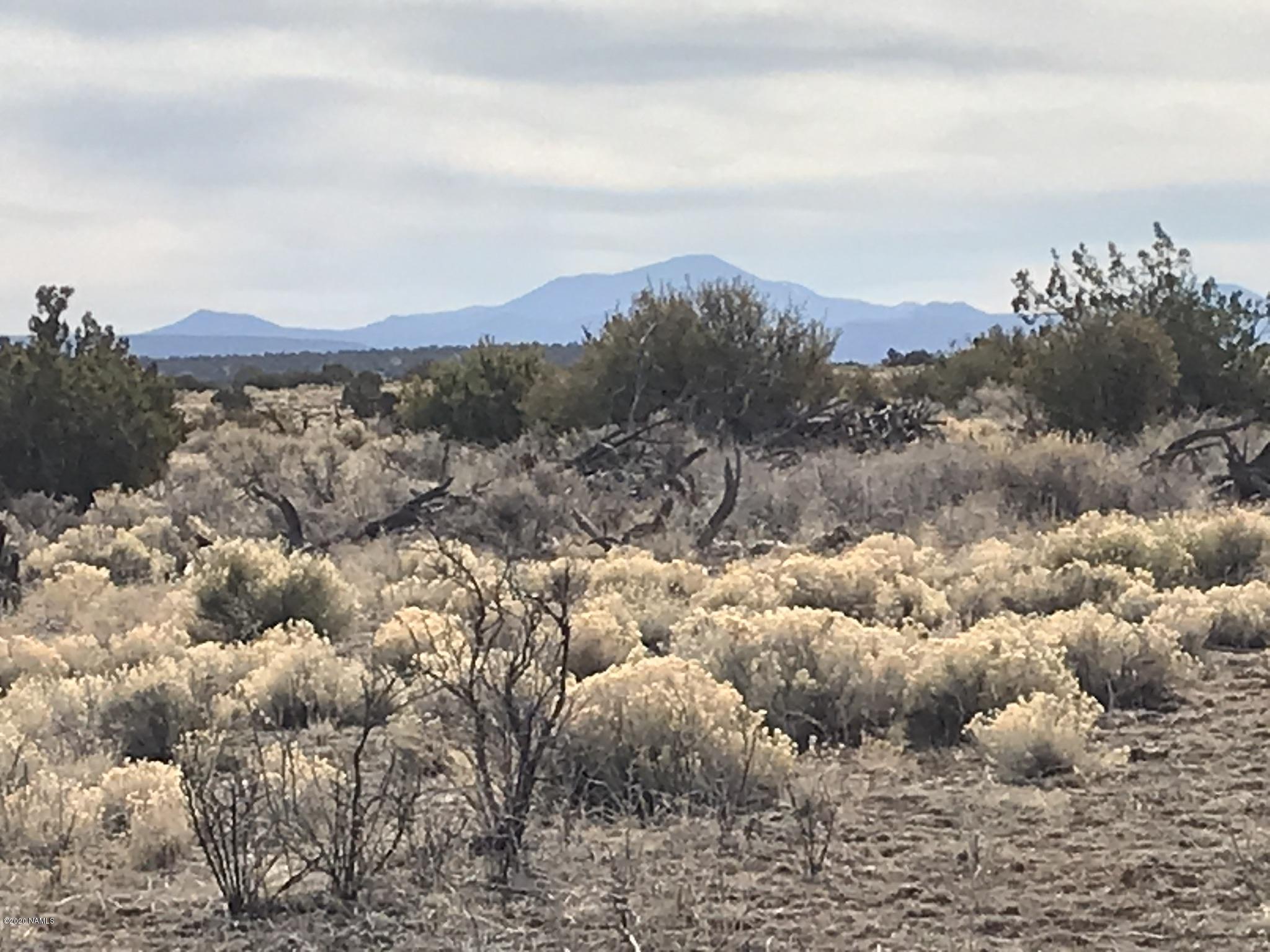 5597 South Cattle Tank Road Williams, AZ 86046 - Photo 2 of 14 9A7F8276-F260-430E-8A66-6A5D6B015024