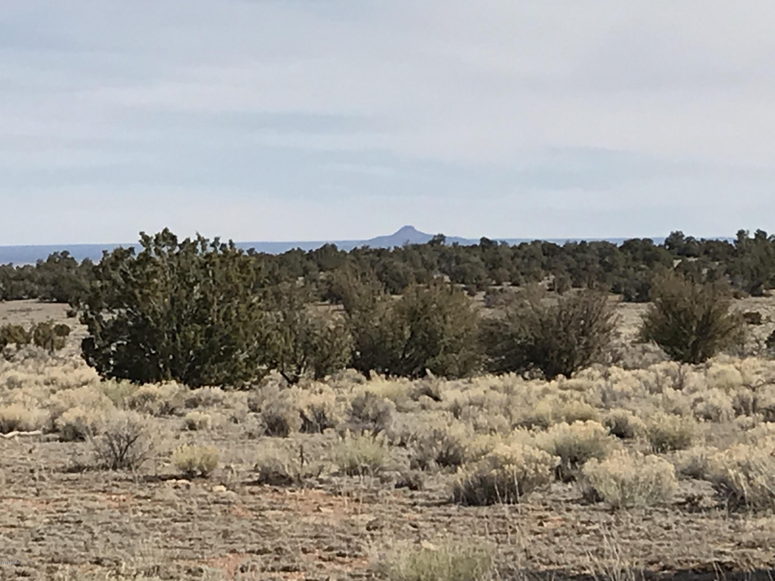 5597 South Cattle Tank Road Williams, AZ 86046 - Photo 4 of 14 B89FF52A-9CB2-4EA0-A28F-5D585D505664