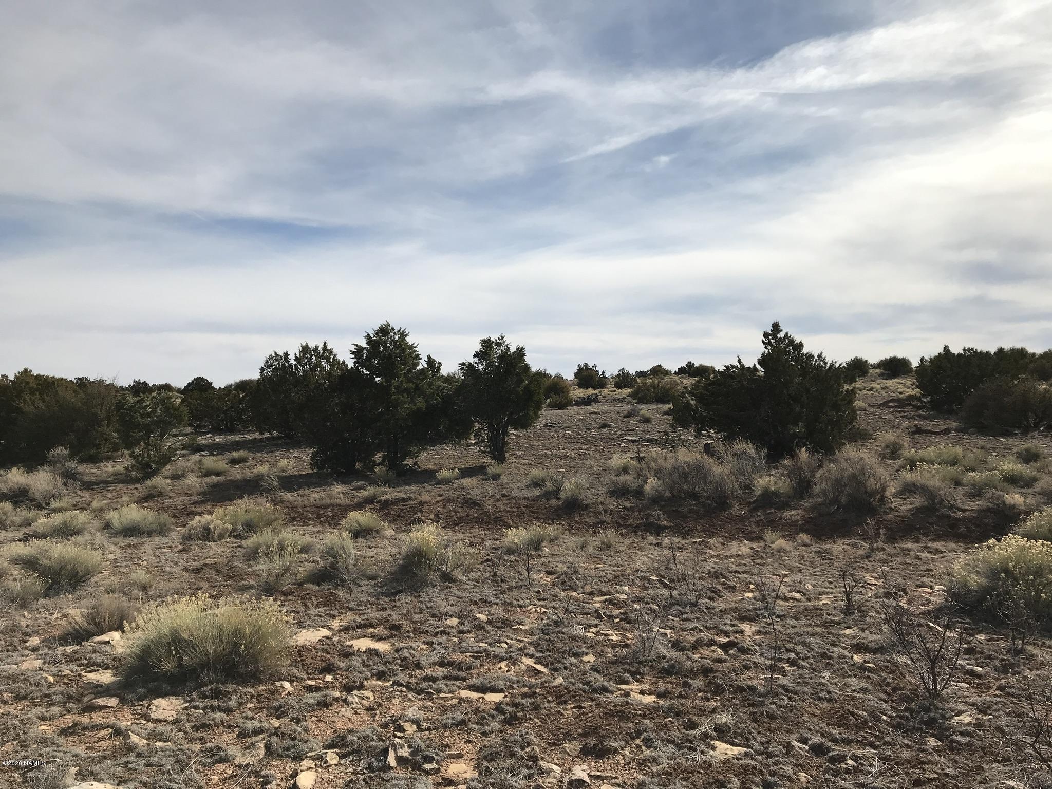 5597 South Cattle Tank Road Williams, AZ 86046 - Photo 5 of 14 5B1F030D-7730-410F-8A65-6CA6E63E37C0