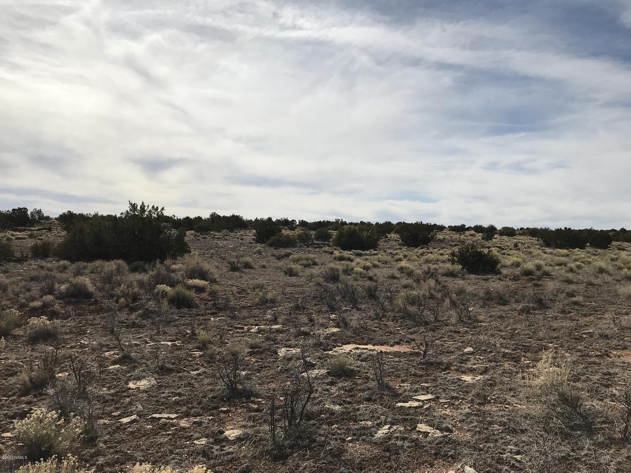 5597 South Cattle Tank Road Williams, AZ 86046 - Photo 6 of 14 31A8E233-0243-4E84-B8B0-C7F7D638FF28