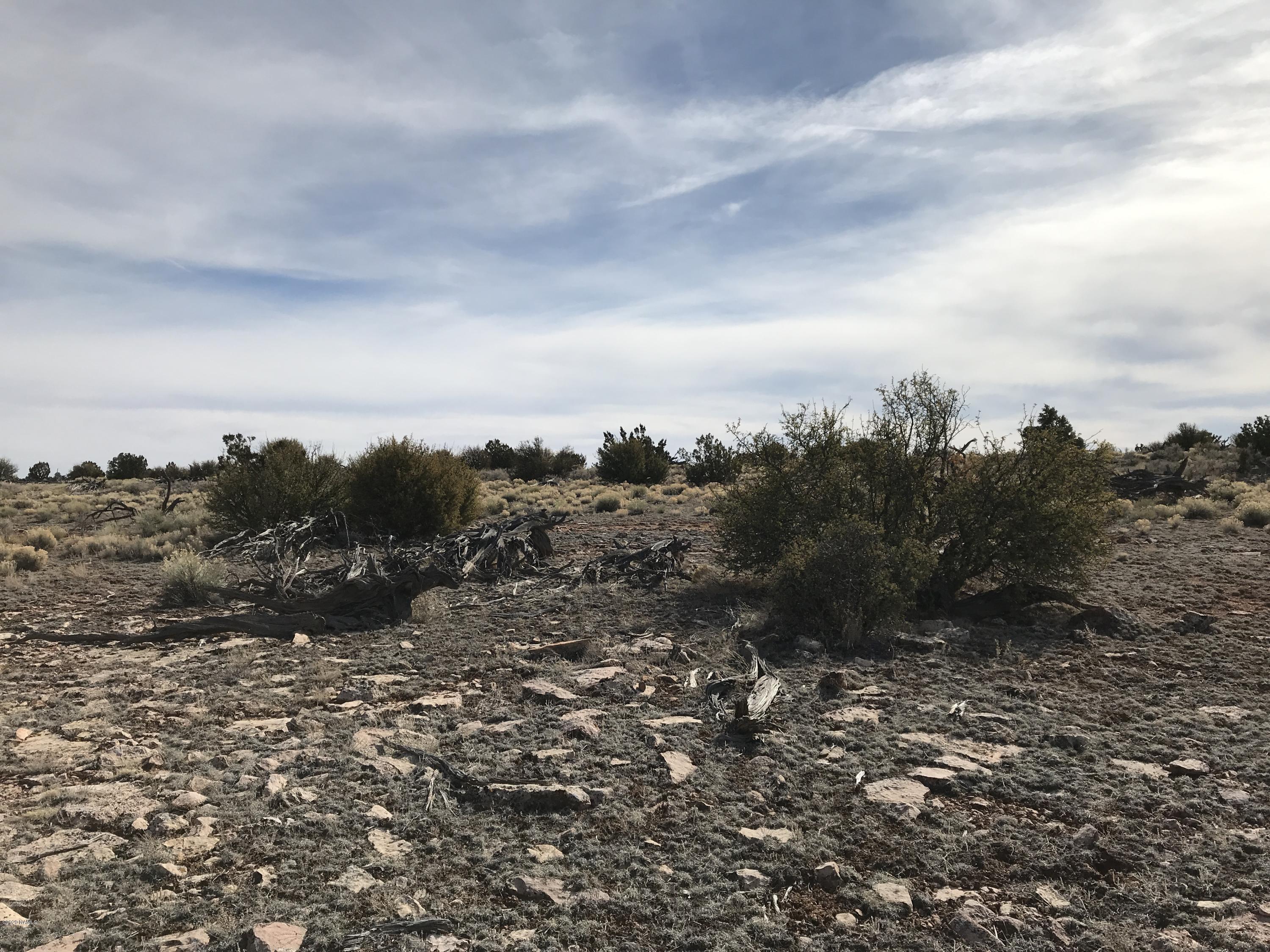 5597 South Cattle Tank Road Williams, AZ 86046 - Photo 8 of 14 EB862934-214B-41AA-A06B-921DBAD48B09