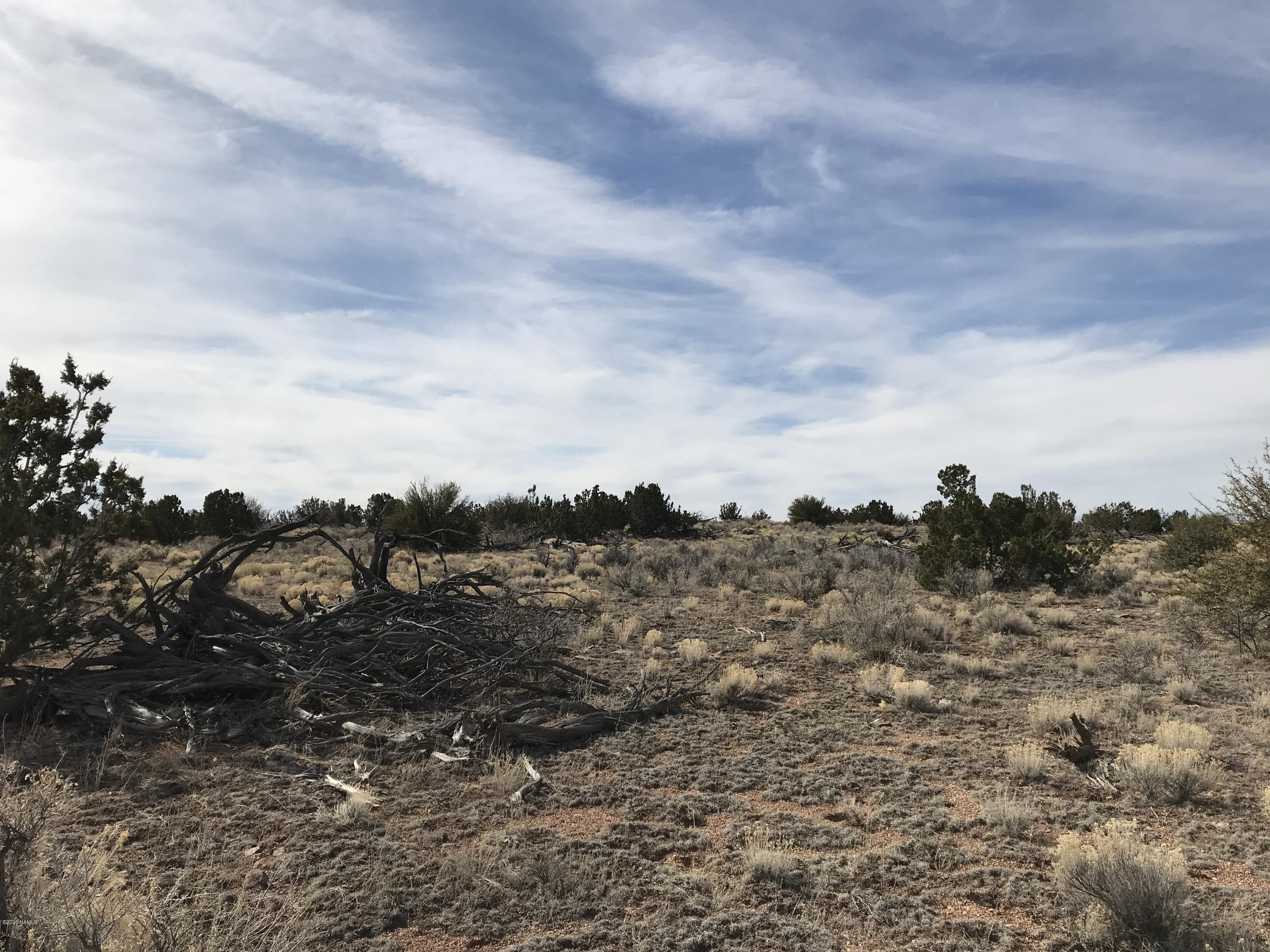 5597 South Cattle Tank Road Williams, AZ 86046 - Photo 10 of 14 E2931FF5-F7DD-4019-AD91-7B4F418CDFF7