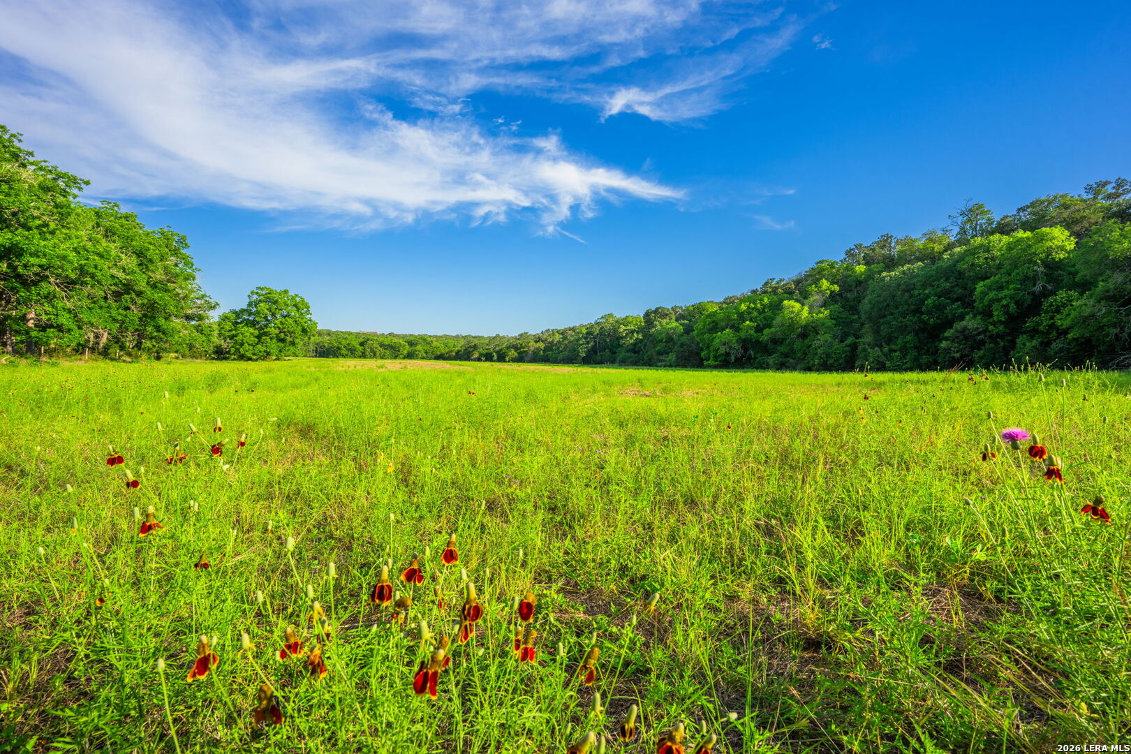 190 A Richter Road Boerne, TX 78006 - Photo 14 of 50