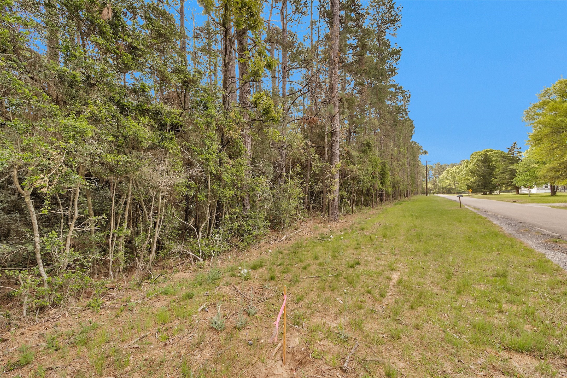 Tbd Tr2 Cedar Ln Loop Willis, TX 77378 - Photo 5 of 8