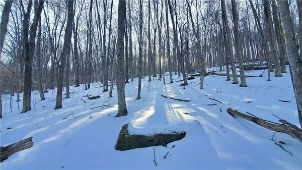 $675,000 | 731 East Handsome Brook Road, Franklin, NY 13775