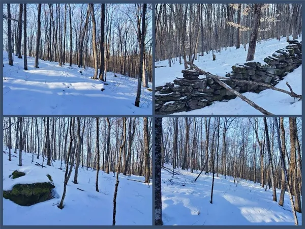 $675,000 | 731 East Handsome Brook Road, Franklin, NY 13775