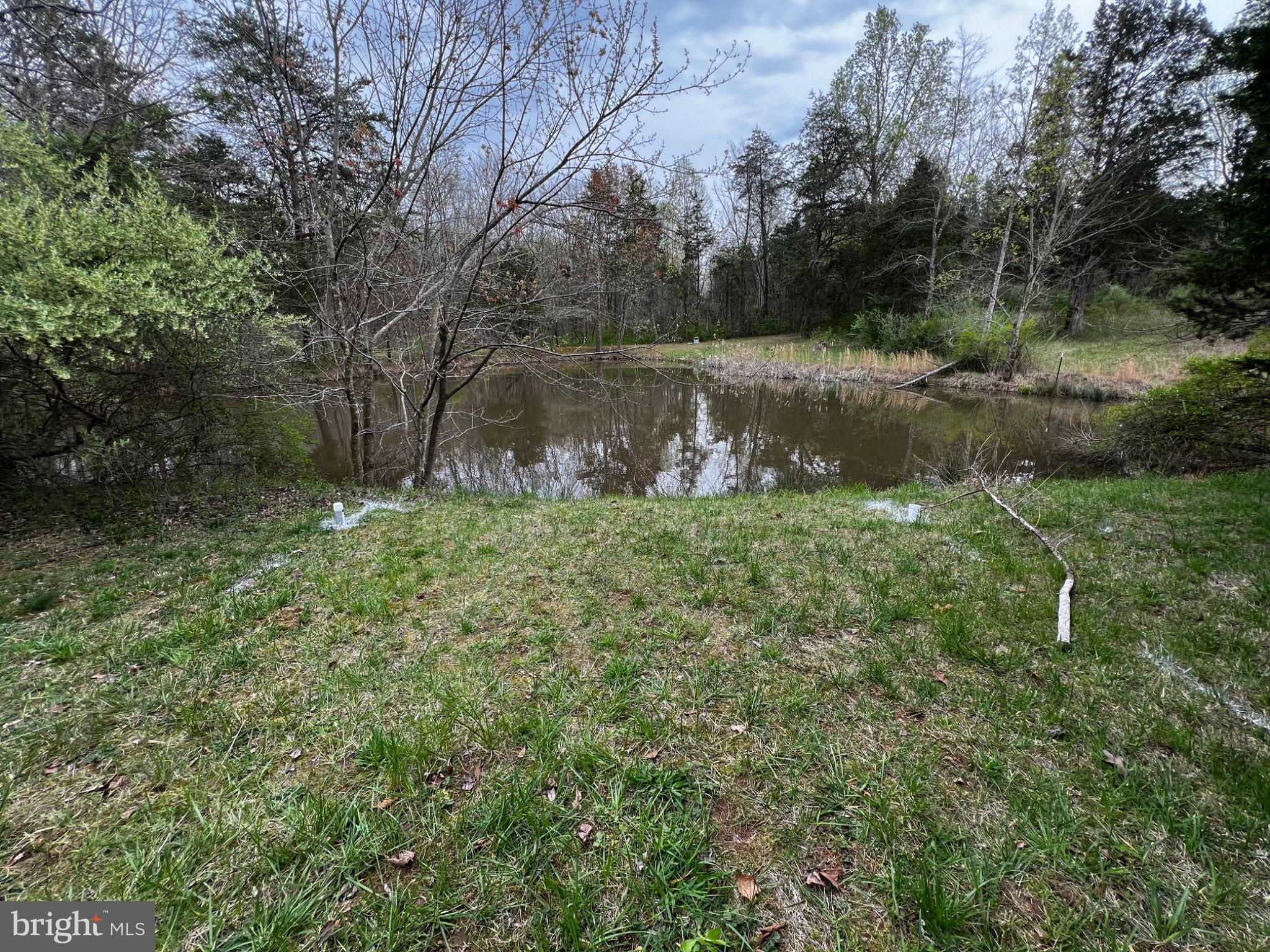 4561 Weston Road Catlett, VA 20119 - Photo 5 of 59 Tranquil pond nestled among lush greenery.