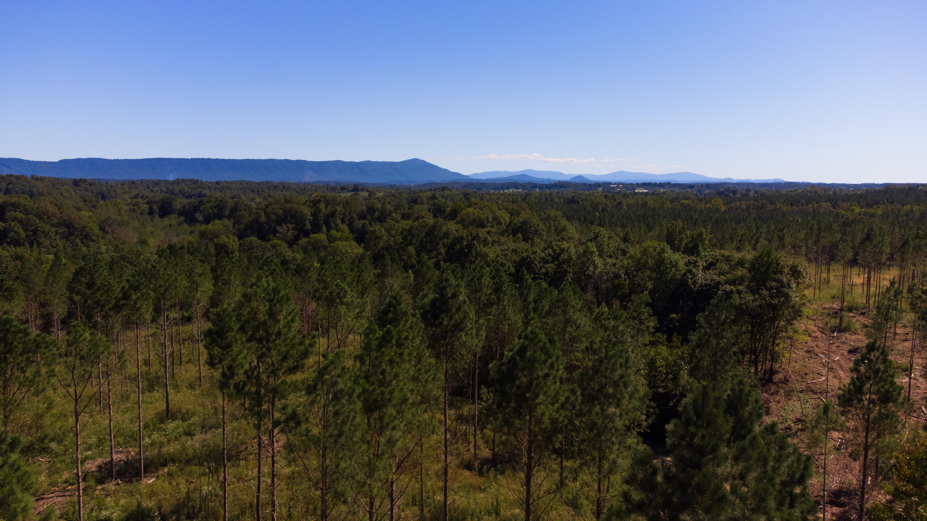 29 Athens Road Calhoun, TN 37309 - Photo 1 of 7 Chestuee 28 29 overview