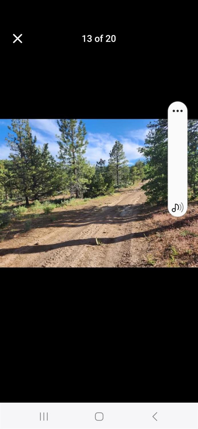 0 Cheney Creek Road Susanville, CA 96130 - Photo 2 of 18 a view of a city