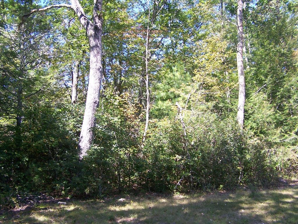 Tbd Blue Springs Road, Unit 18A2 Troutdale, VA 24378 - Photo 31 of 42 Gallery Image 31