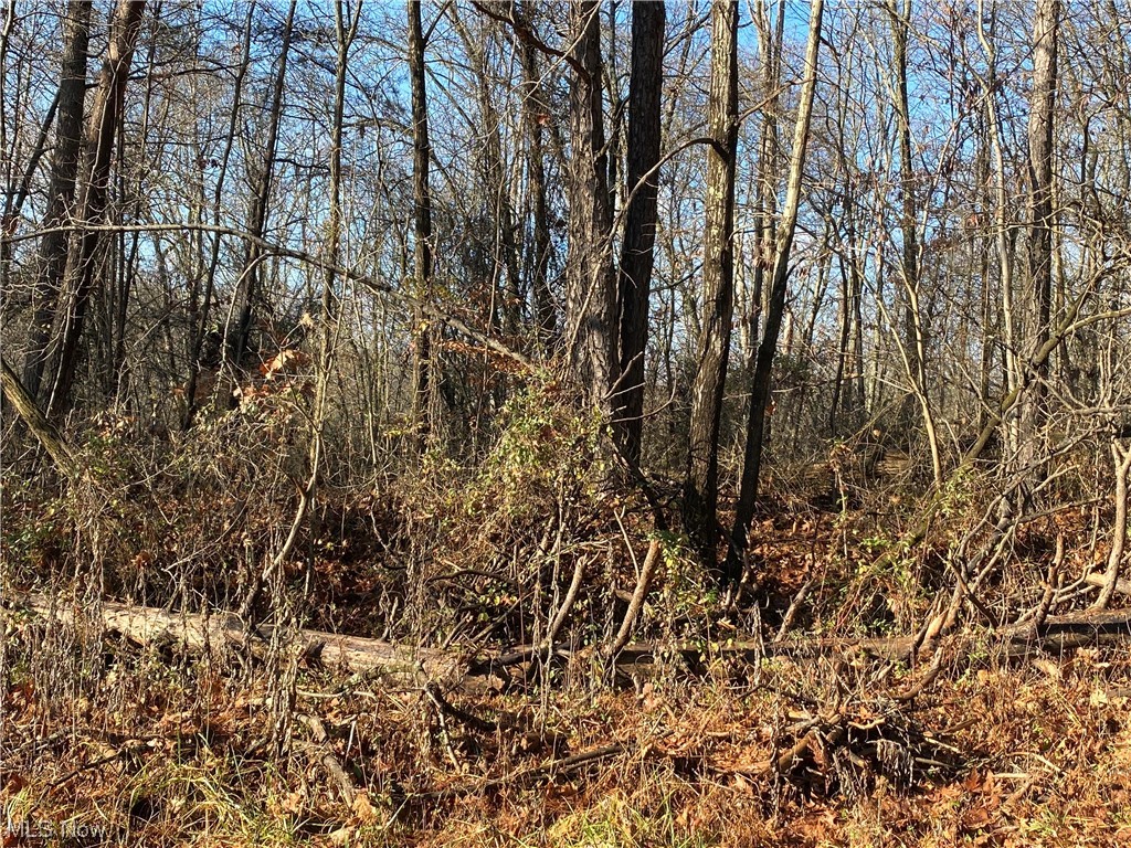 0 Shay Ridge Road New Matamoras, OH 45767 - Photo 11 of 29 View of mother earth's splendor