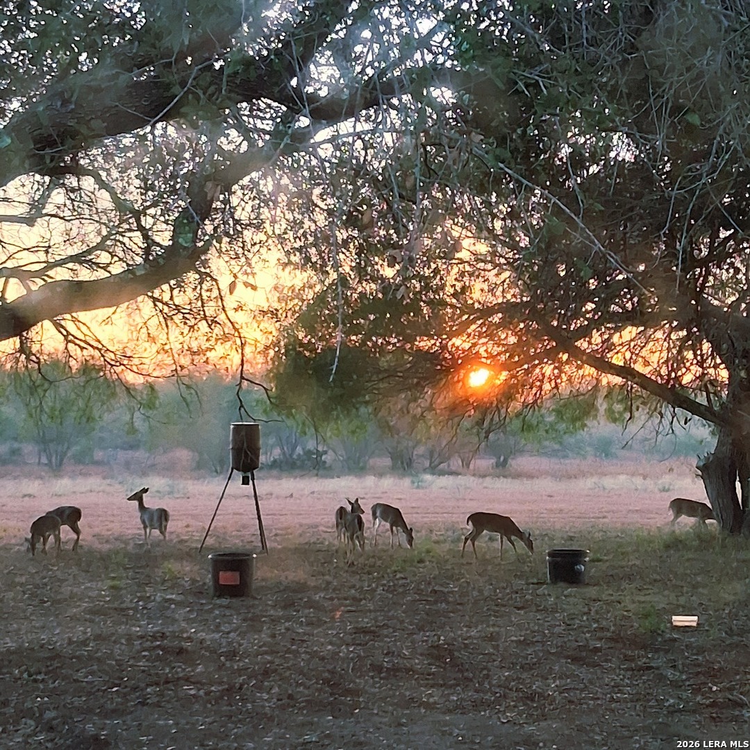 202 Ranch Road Mathis, TX 78368 - Photo 37 of 38