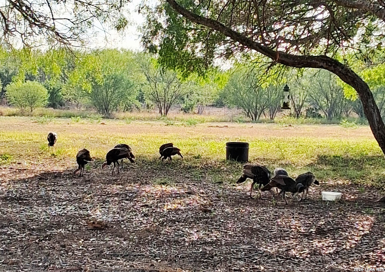 202 Ranch Road Mathis, TX 78368 - Photo 38 of 38