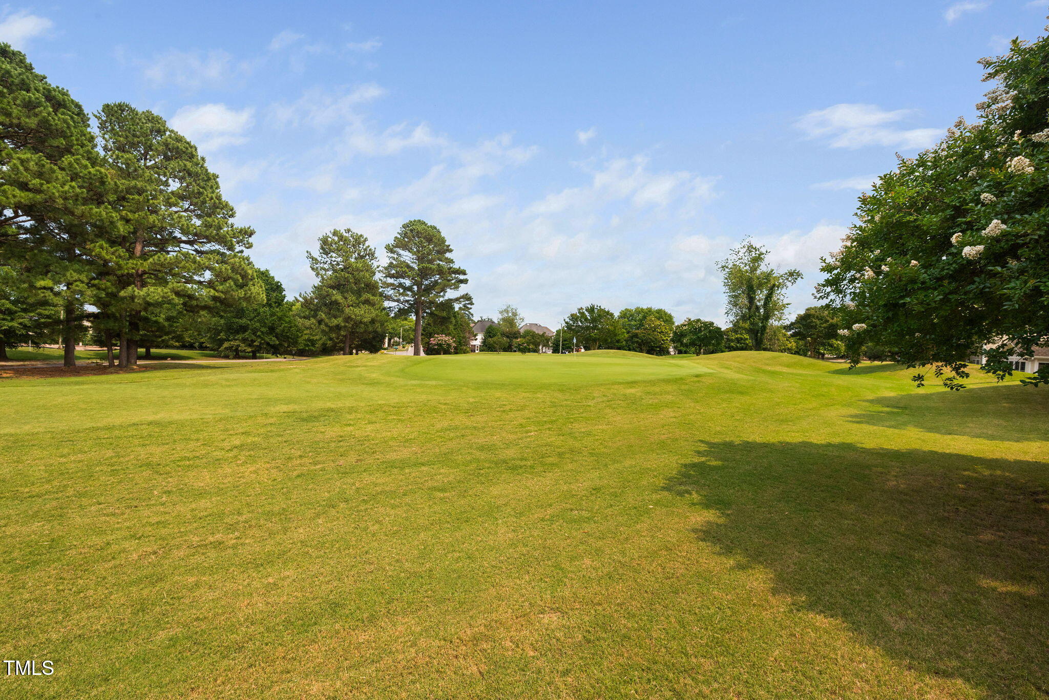 2040 Persimmon Ridge Drive Raleigh, NC 27604 - Photo 37 of 39 a view of an ocean and beach