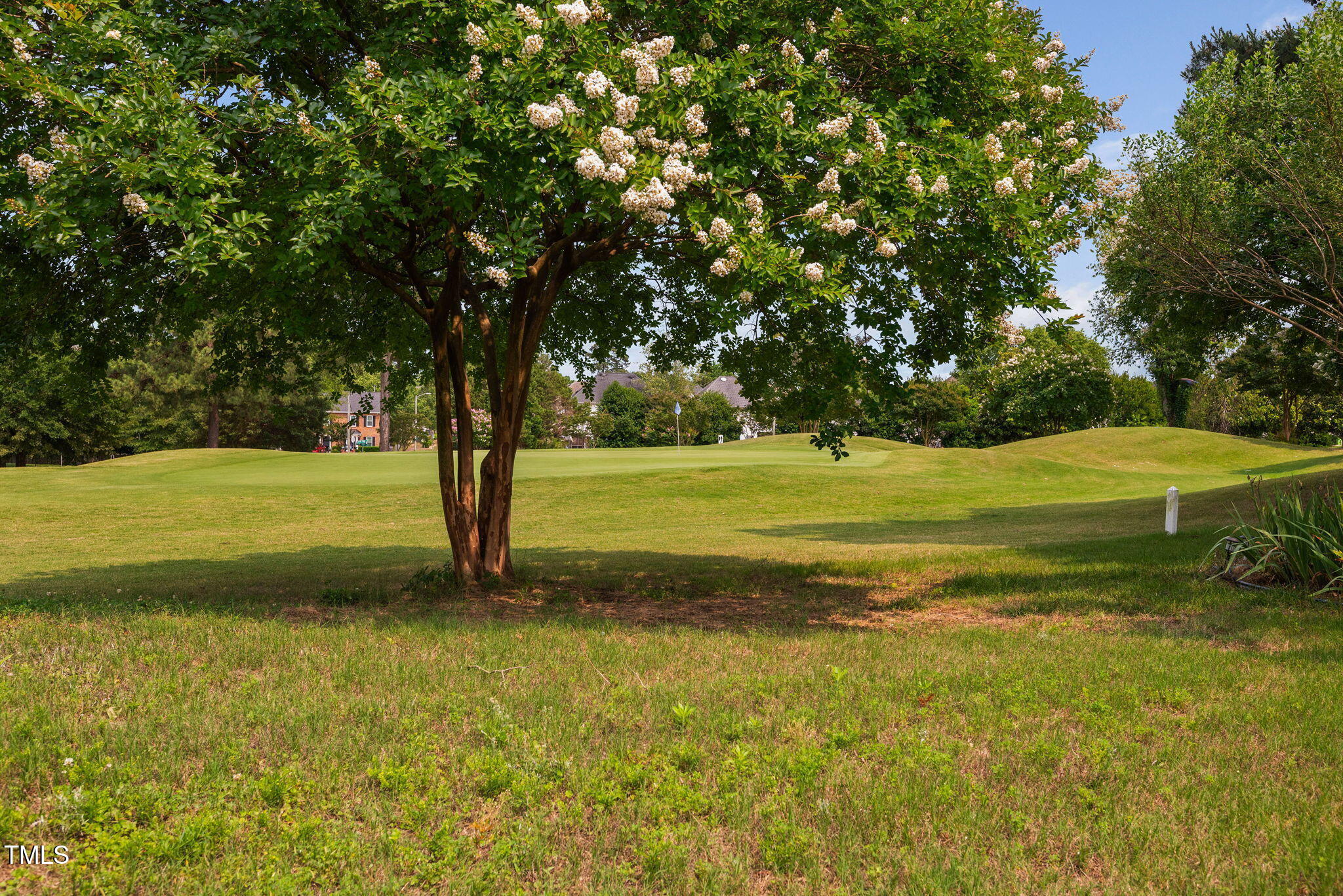2040 Persimmon Ridge Drive Raleigh, NC 27604 - Photo 38 of 39 a view of a field with an trees