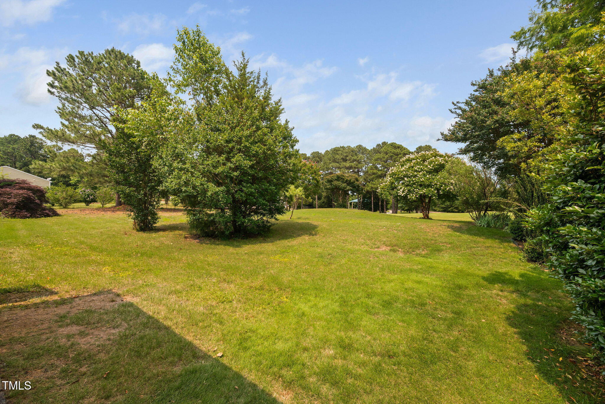 2040 Persimmon Ridge Drive Raleigh, NC 27604 - Photo 39 of 39 a view of yard and mountain view