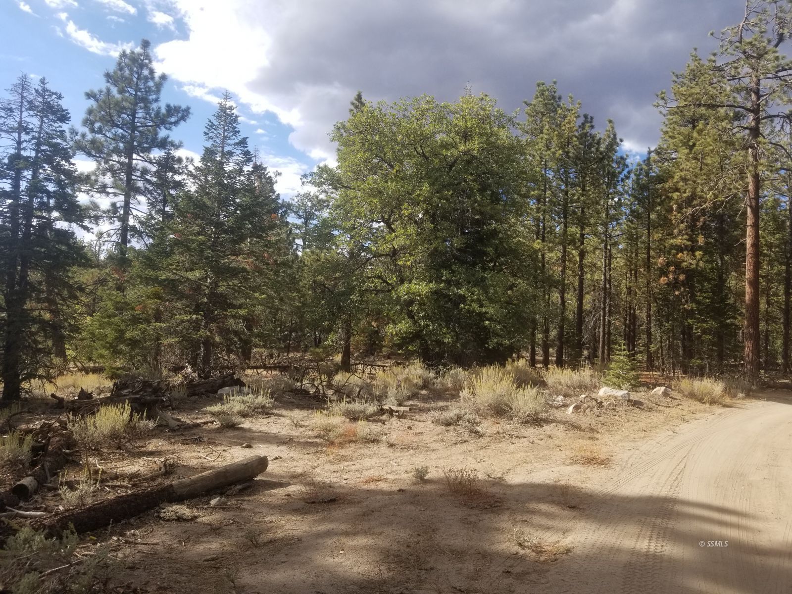 Piute Pines Caliente, CA 93518 - Photo 18 of 26