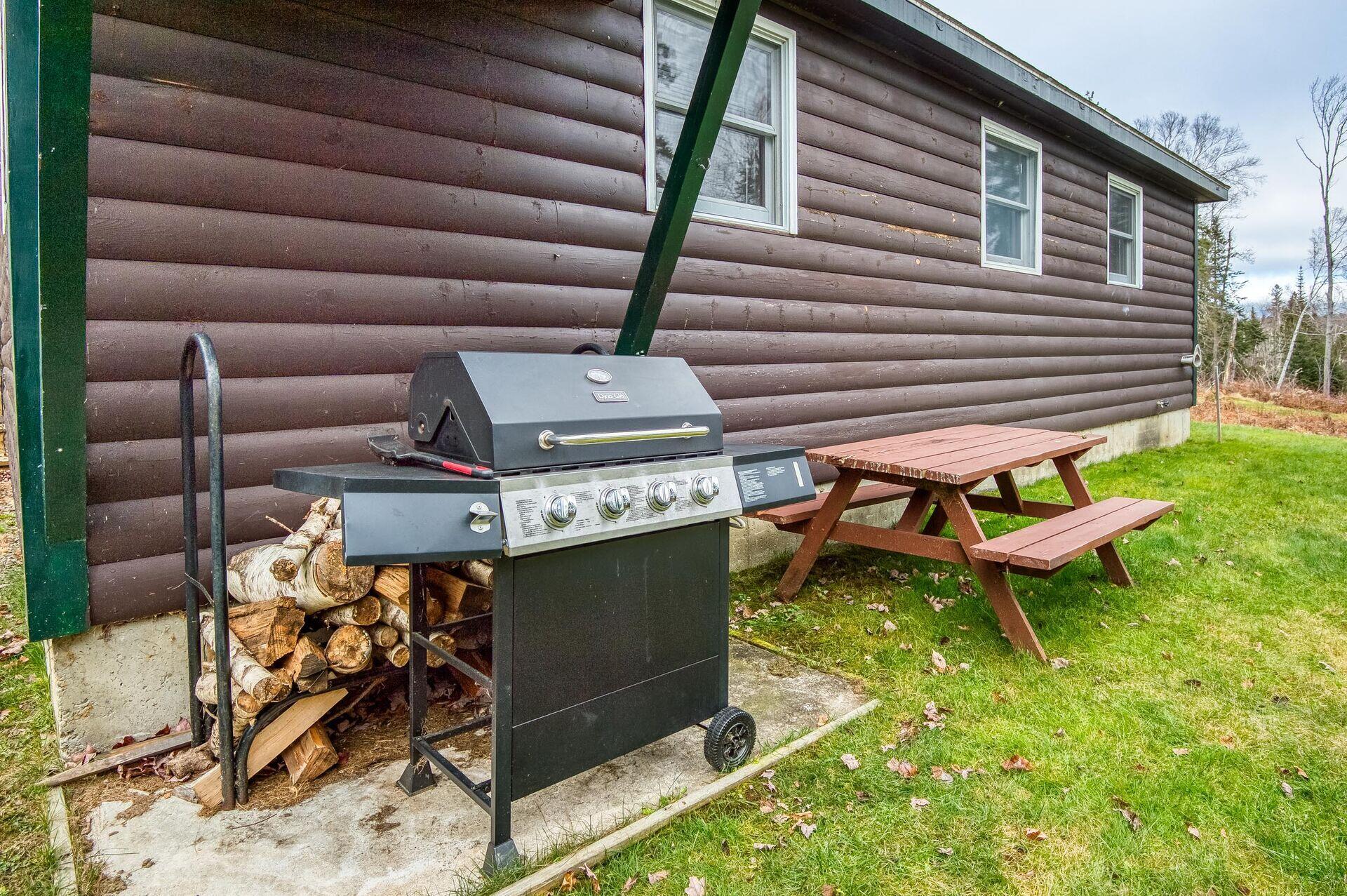 90 Manor Drive Rangeley, ME 04970 - Photo 30 of 35 Grill and Picnic