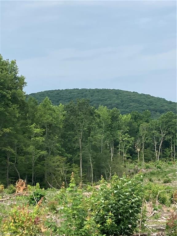 0 Fairview Farm Road Asheboro, NC 27205 - Photo 5 of 21 Gallery Image 5