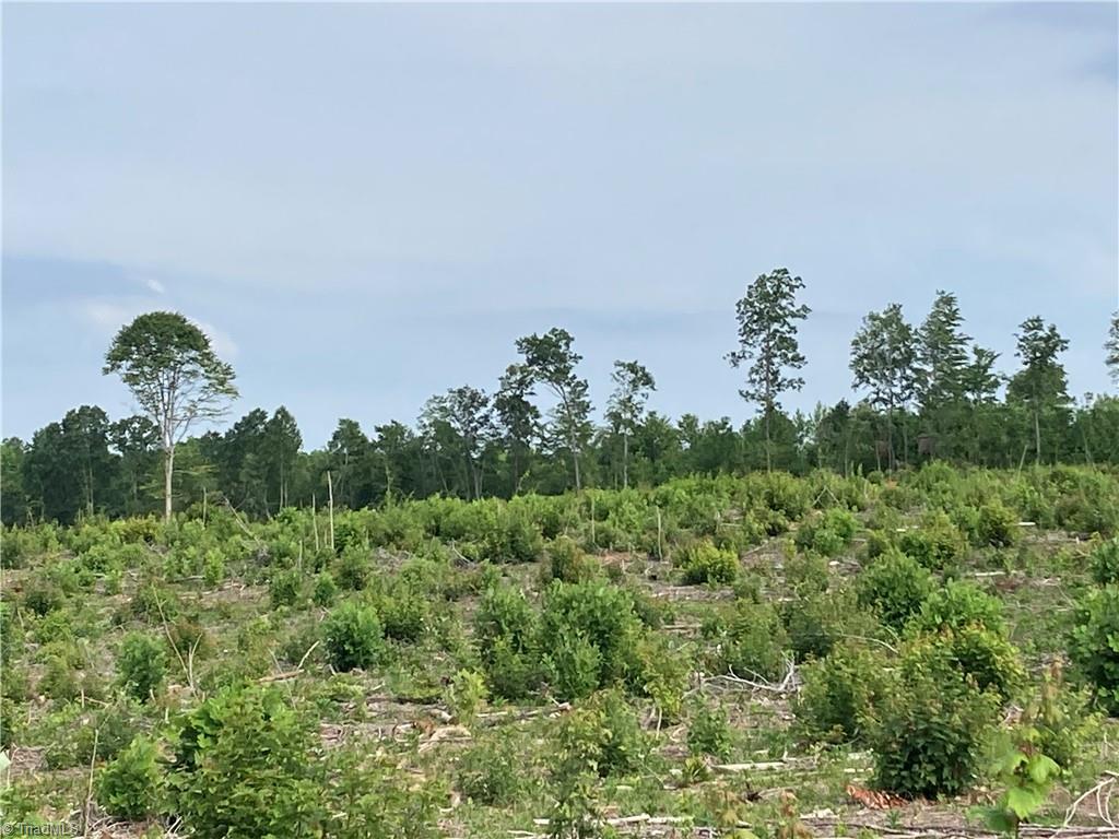 0 Fairview Farm Road Asheboro, NC 27205 - Photo 7 of 21 Gallery Image 7