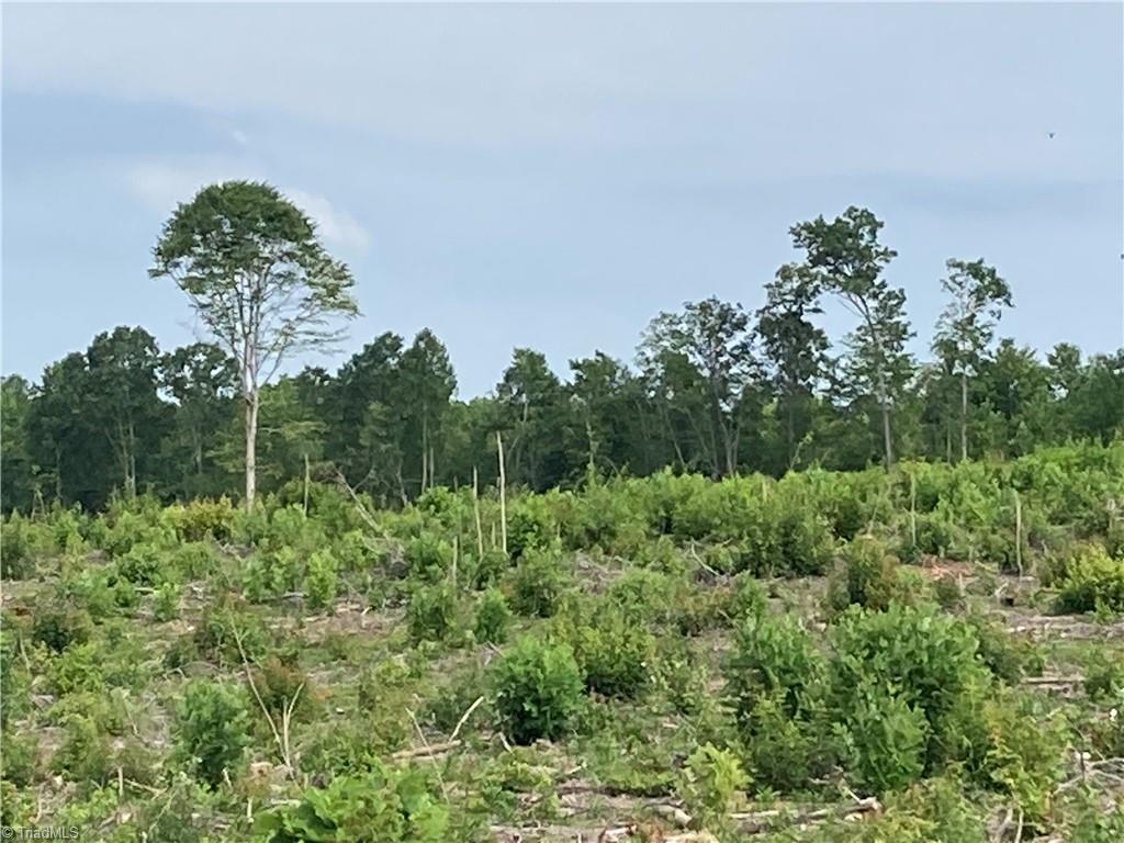 0 Fairview Farm Road Asheboro, NC 27205 - Photo 9 of 21 Gallery Image 9